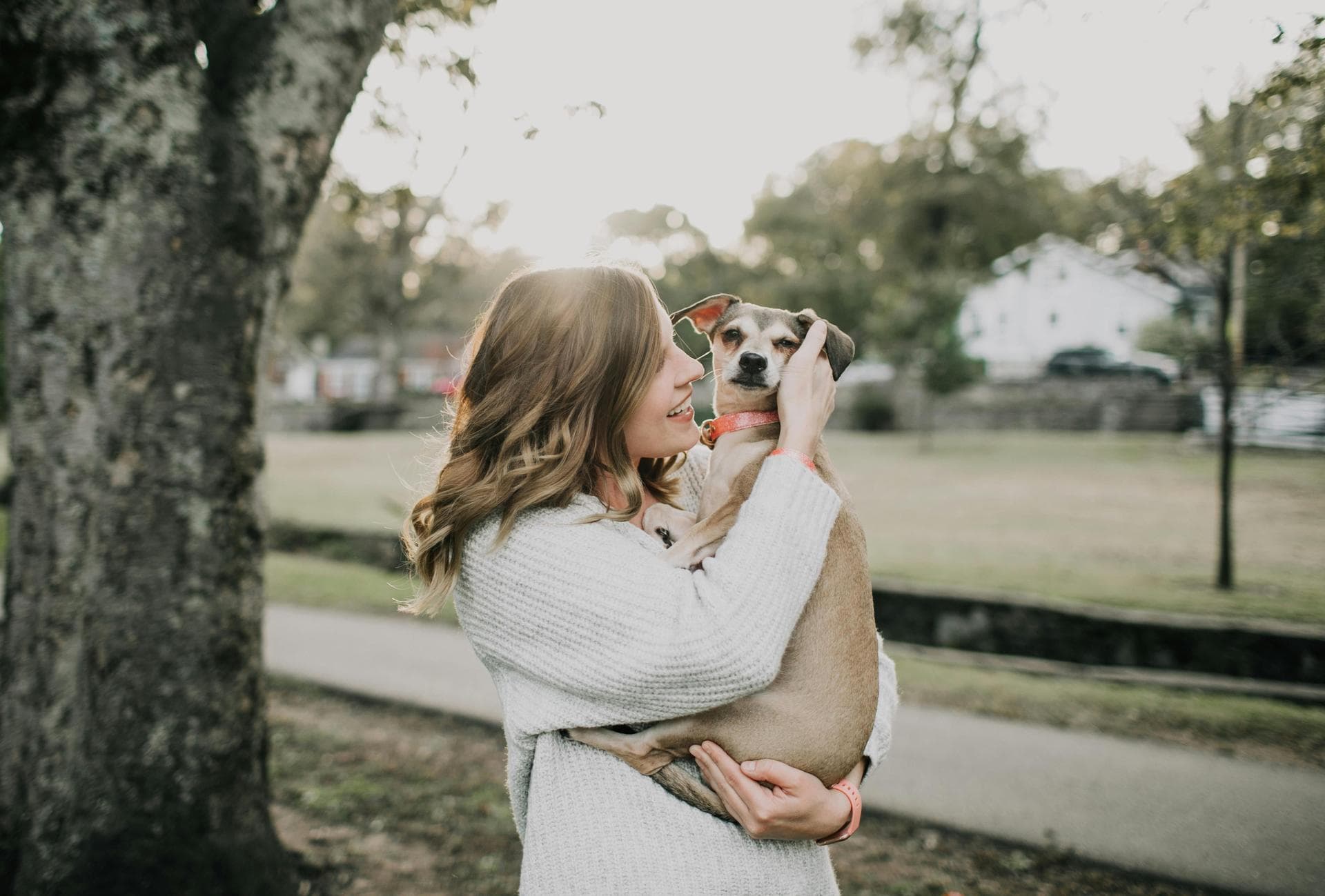 Dog Dental Prices in Dudley